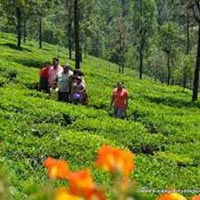 Coimbatore - Ooty Tour 3N/4D
