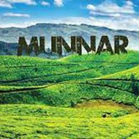 Munnar Honeymoon Tour Package