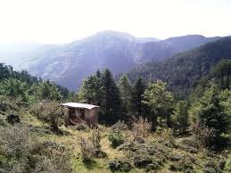 Simla Manali 5 days Package