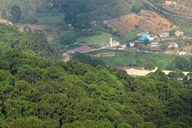 8 Night - 9 Days Hill Tour