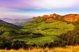 6 Nights - 7 Days Kerala Tour