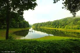 6 Nights - 7 Days Kerala Tour