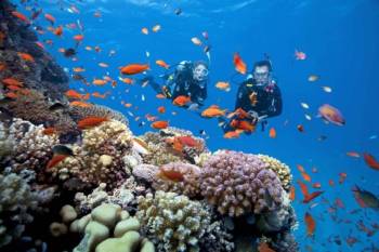 Packages in South Andaman