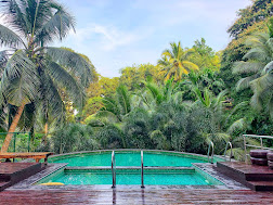 Packages in South Andaman