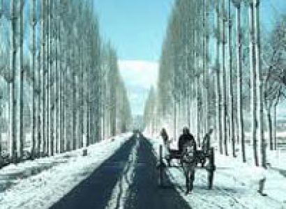 Cool Kashmir Tour