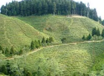 Unforgettable Northern East