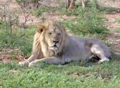 Best of Gujarat Tour