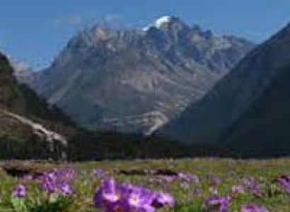 Unforgettable Moments In Himachal Tour