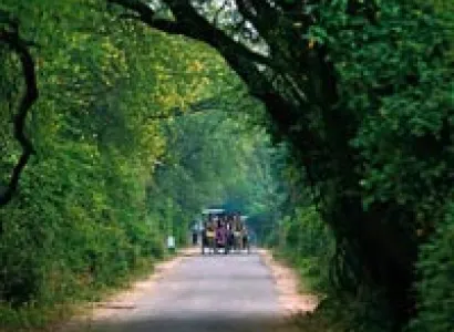 Day Tours Bharatpur