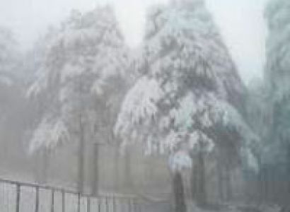 Best of Kashmir Tour