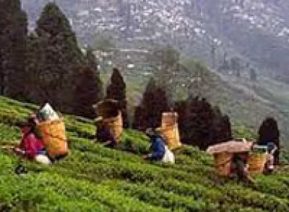 Sikkim & Darjeeling Tour