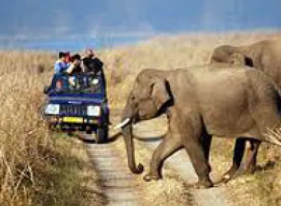 Rajasthan Wildlife Tour