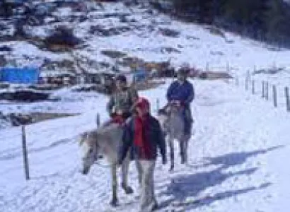 Best Himachal Tour Packages