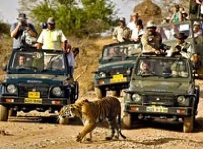 Nagzira Tour From Nagpur