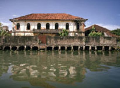 Packages in Thekkady