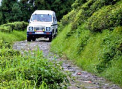 Darjeeling - Pelling - Gangtok - Kalimpong Tour