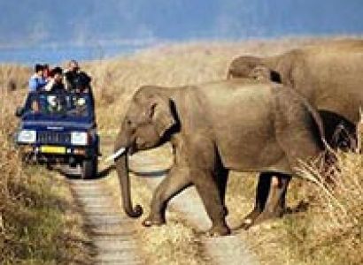 Corbett Adventure Tour