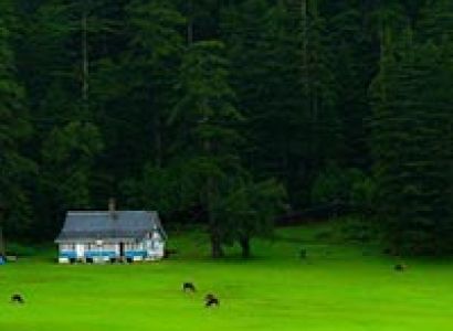 Delights of Himachal Tour
