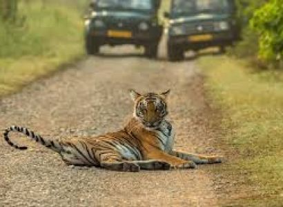 3 Night 4 Days Jim Corbett National Park