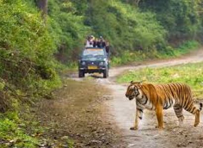 3 Night 4 Days Jim Corbett National Park