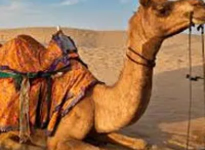 Desert Pageantry Tour