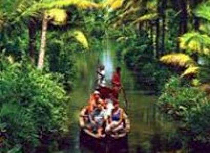 Kerala Splendor Tour