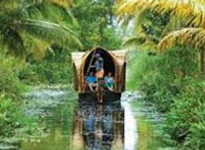 Packages in Thekkady