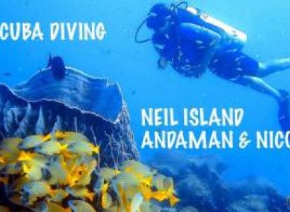 Delightful Andaman Tour