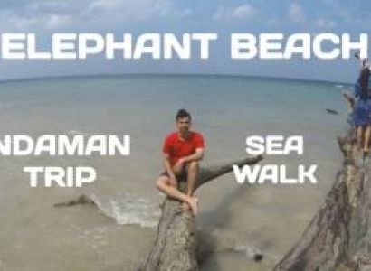 Packages in Havelock