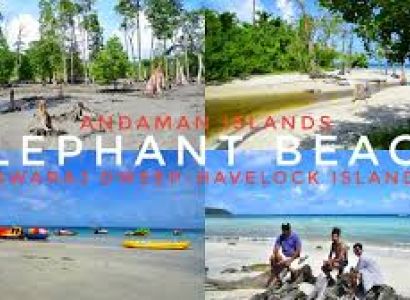 Packages in Havelock