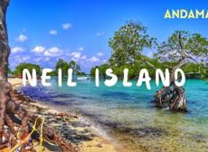 Packages in Havelock