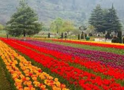 Kashmir:Paradise on Earth Tour