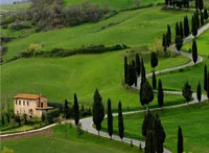 Mysore - Ooty - Bangalore Tour