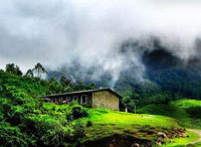 Cochin - Munnar - Alleppey - Thekkady Tour