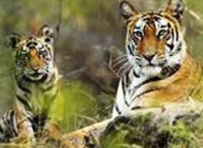 Tour For Nainital Corbett 3Nights/4Days