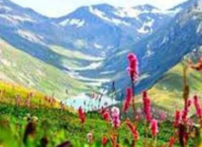 Valley Of Flowers Tour