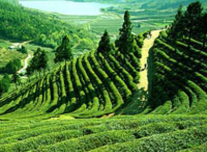 Nepal - Darjeeling - Puri Tour