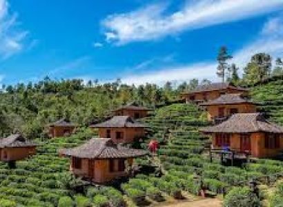 Bangalore Mysore Ooty Tour