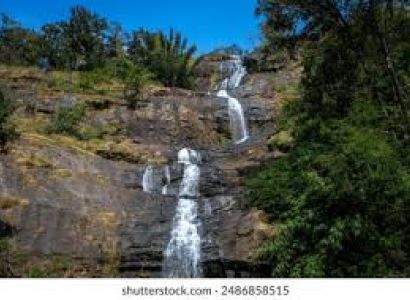 Packages in Thekkady