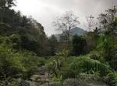 Short Escape To Ooty Package