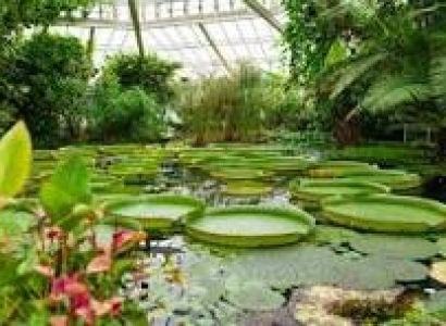 Coonoor with Ooty Tour