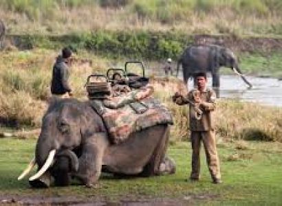 Short Escape to Kabini Tour