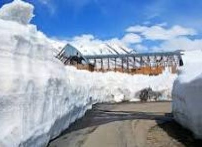 Magnificent Shimla Manali Tour