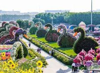 DUBAI ABU DHABI TOUR 6 DAYS