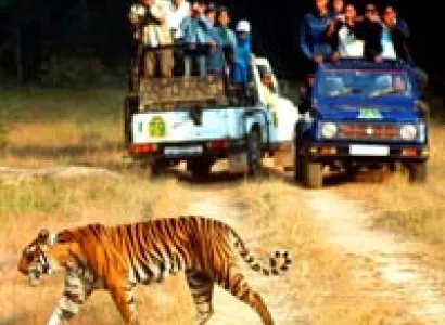 Nainital - Kausani - Corbett Park Tour