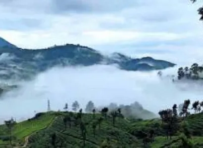 2Night - 3Days Awesome Munnar