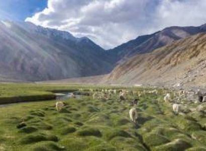 7 Nights - Explore Ladakh