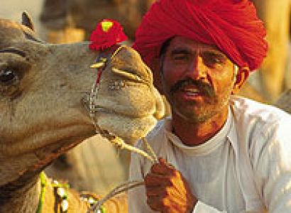 Desert Pageantry Tour