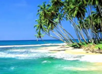 Sri Lanka Tour