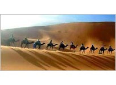 3 Days Camel Safari Tour